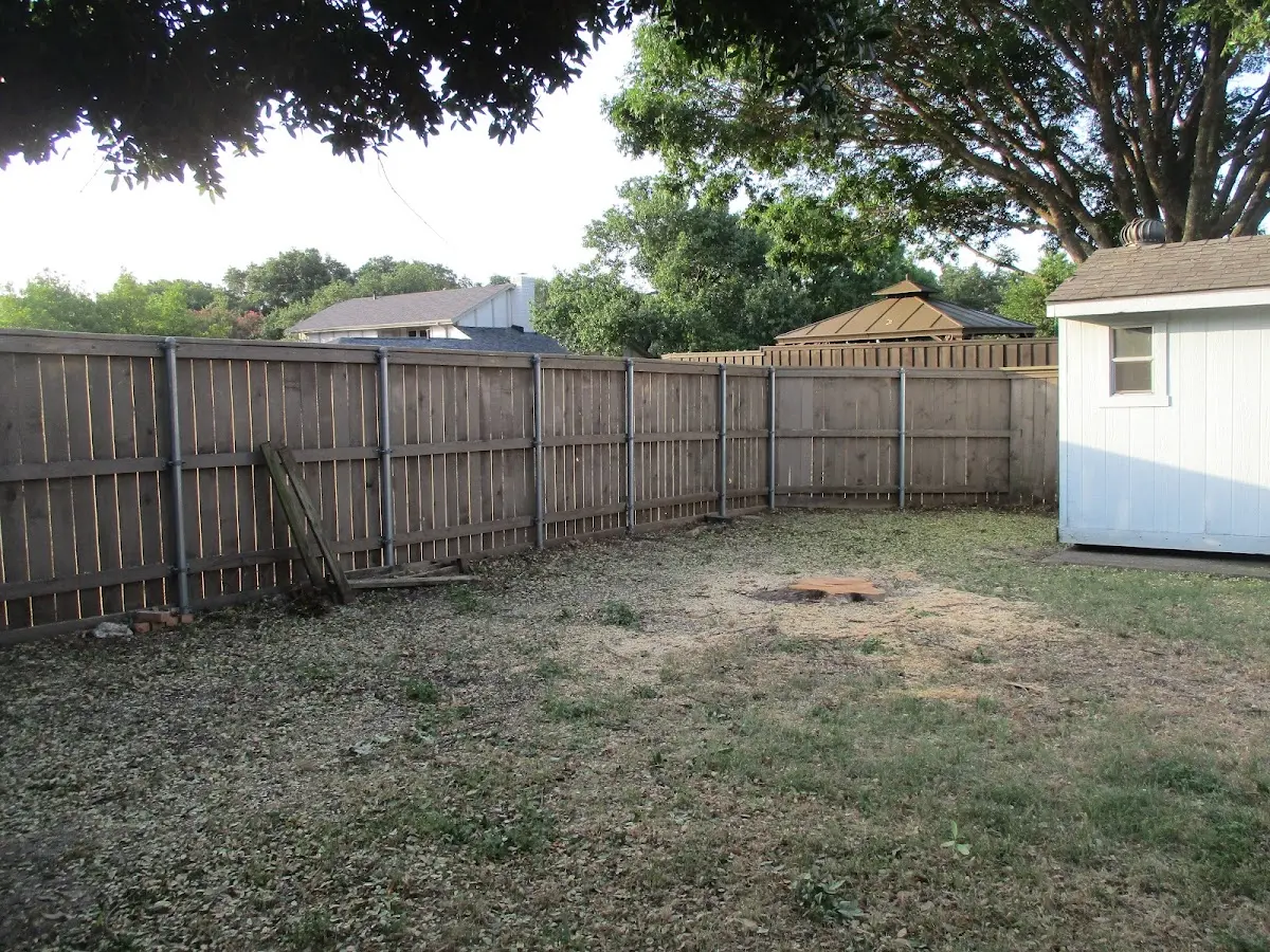 Cleared yard after professional tree removal in Sawyer